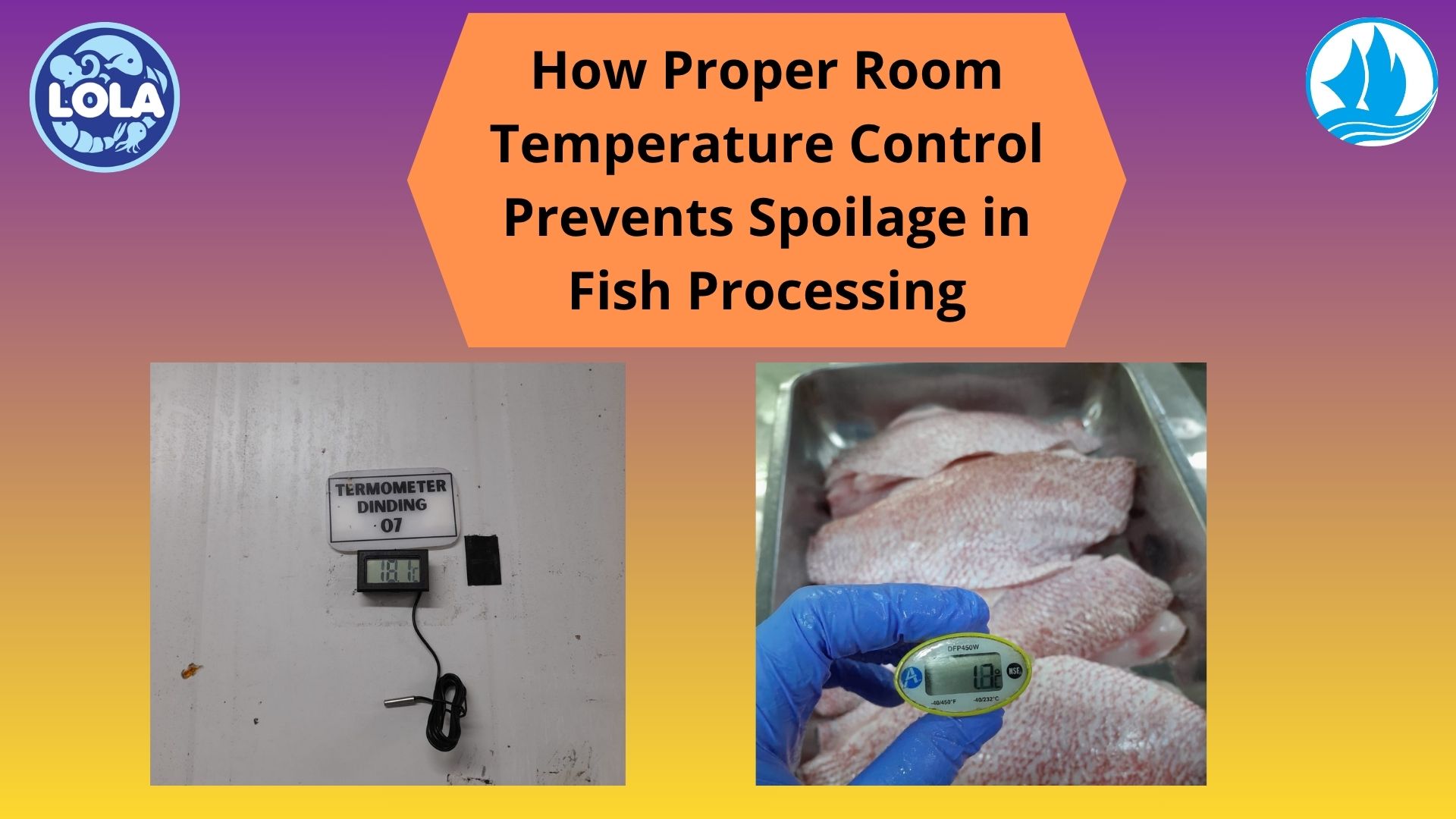  How Proper Room Temperature Control Prevents Spoilage in Fish Processing
